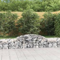 Paniers &agrave; gabions arqu&eacute;s 2 pcs 300x50x40/60 cm fer galvanis&eacute;