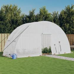 Serre avec cadre en acier blanc 12 m&sup2; 6x2x2,85 m