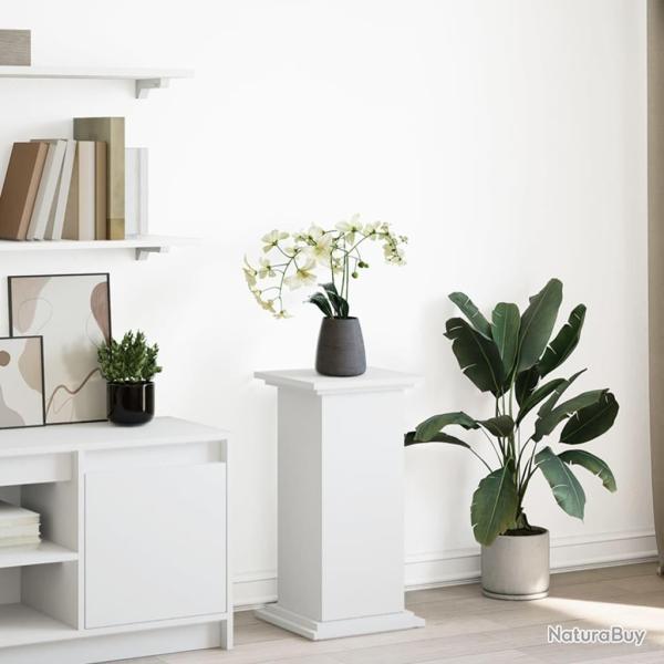 Pi�destal avec rangement blanc 31x30x60 cm bois d'ing�nierie