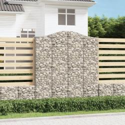 Paniers &agrave; gabions arqu&eacute;s 2 pcs 200x50x220/240 cm Fer galvanis&eacute;