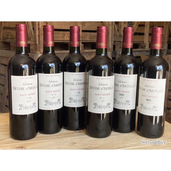 Chateau Devise d'Ardilley 2012 - Haut Mdoc - Cru Bourgeois - carton de 6 bouteilles