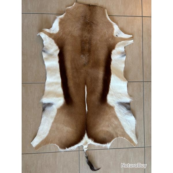 Tapis peau de springbok