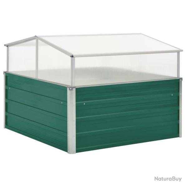 Serre Vert 100x100x77 cm Acier galvanis�