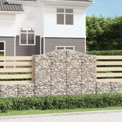 Paniers &agrave; gabions arqu&eacute;s 2 pcs 200x50x160/180 cm Fer galvanis&eacute;