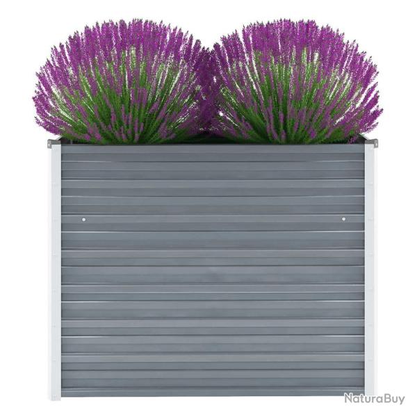 Lit sur�lev� de jardin Acier galvanis� 100x40x77 cm Gris
