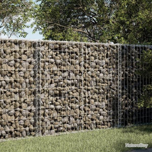 Panier gabion avec couvercle 100x50x100 cm fer galvanis