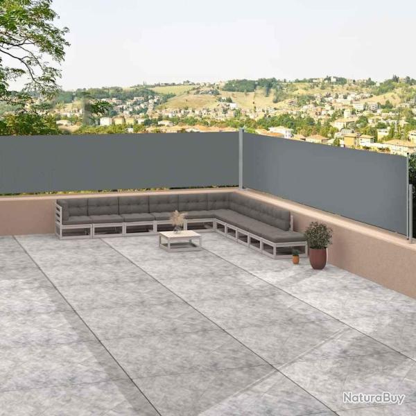 Auvent lat�ral r�tractable Anthracite 117x1200 cm