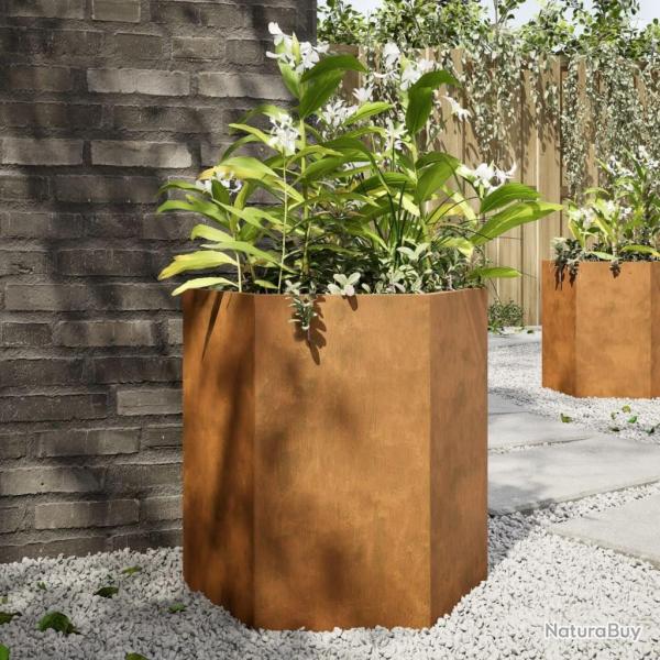 Jardini�res 2 pcs hexagone 46x40x45 cm acier patinable