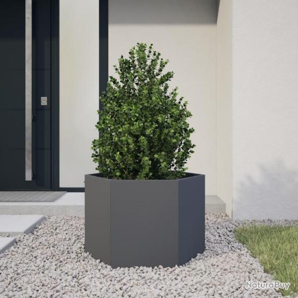 Jardini�re anthracite hexagone 69x60x45 cm acier