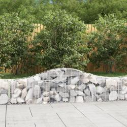 Paniers &agrave; gabions arqu&eacute;s 2 pcs 200x30x40/60 cm Fer galvanis&eacute;