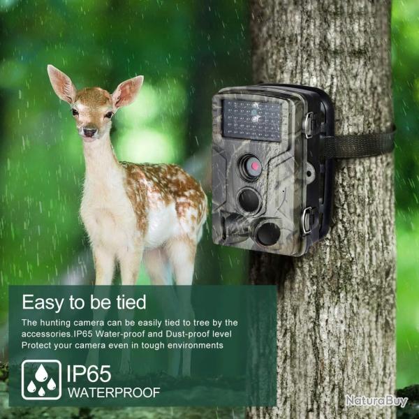 Suntekcam Cam�ra Chasse HC802A Sans Fil 2.7K 24mp Vision Nocturne Etanche Livraison Gratuite