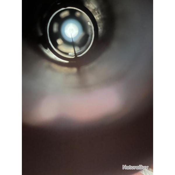 Optique pour carabine 30 m1