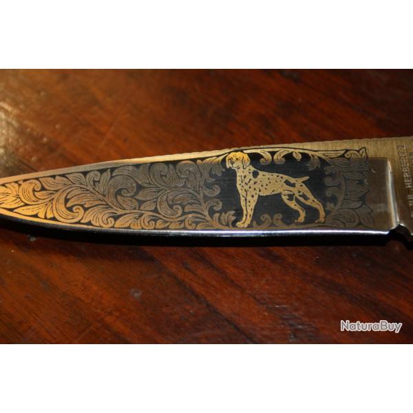 pliant HERBERTZ lame grav�e d'un braque a l'arr�t