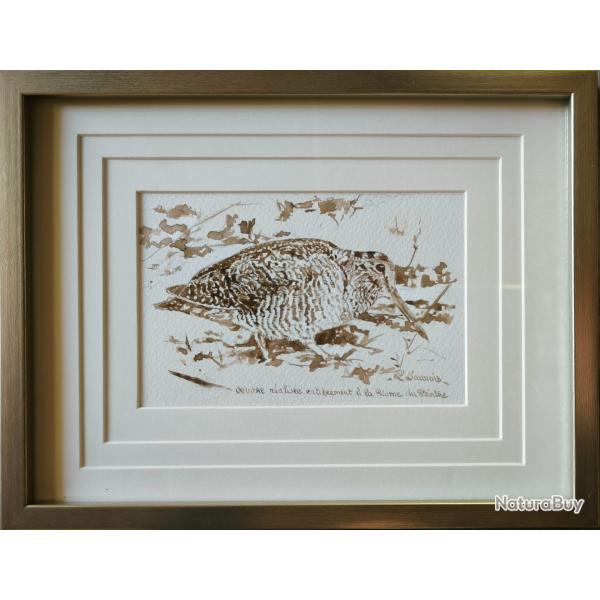 Dessin Original de b�casse r�alis� � la plume du peintre