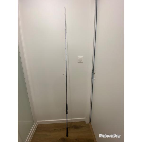 Canne Daiwa Bluebacker