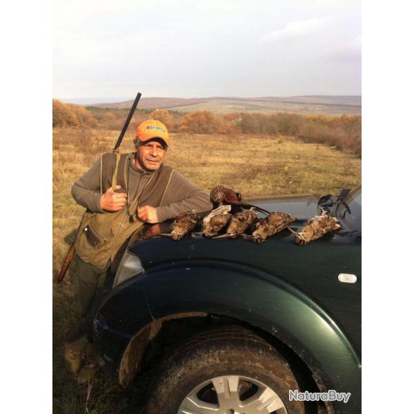 Chasse aux b�casses en Roumanie