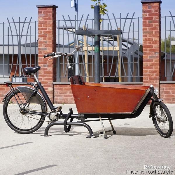 MOTTEZ Arceau Antivol V�lo Cargo coloris gris