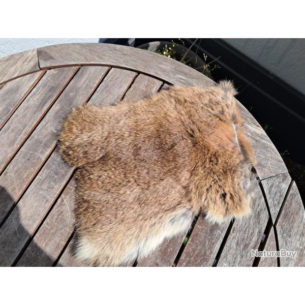 Peau de lapin #37