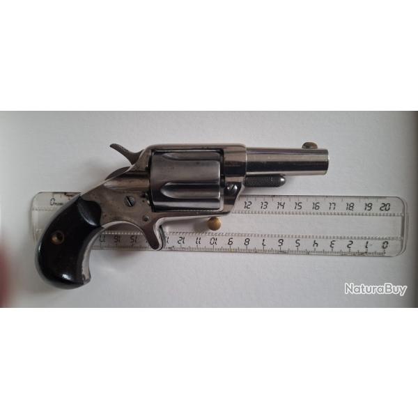 COLT NEW LINE en 38 colt percution centrale  marquage  canon eched panel
