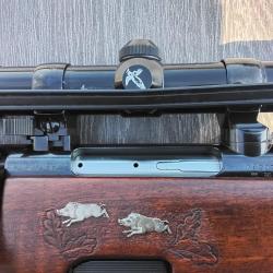 Steyr mannlicher cal 243