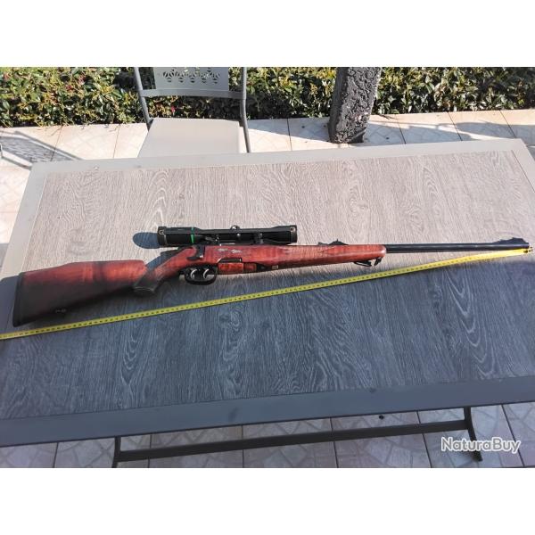 Steyr mannlicher cal 243