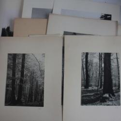 Photographies d'art Paysages Nature Atelier Borel-Boissonnas