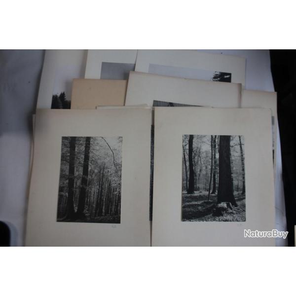 Photographies d'art Paysages Nature Atelier Borel-Boissonnas