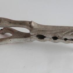 Ancien Mâche-bouchon d'apothicaire