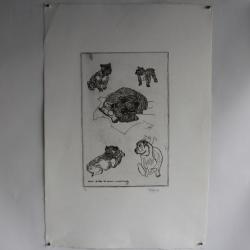 Lithographie originale A. Gallopini 1977 Chien Bouledogue
