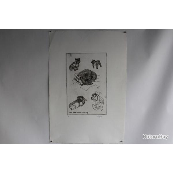 Lithographie originale A. Gallopini 1977 Chien Bouledogue