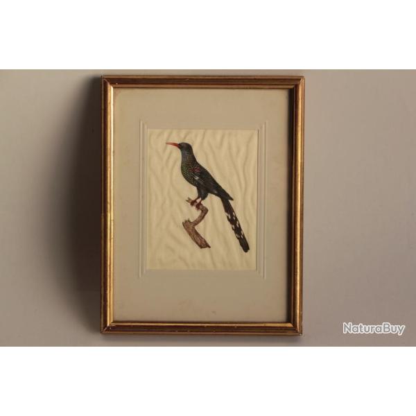 Peinture miniature sur soie Oiseau vintage