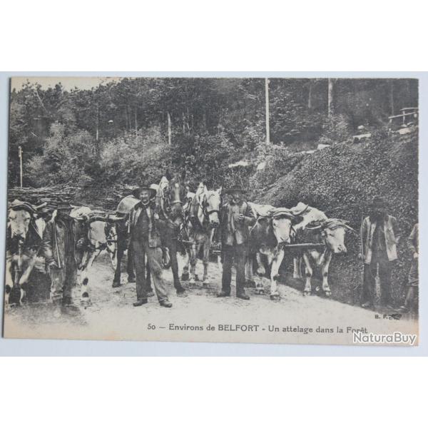 CPA Belfort Attelage dans la for�t