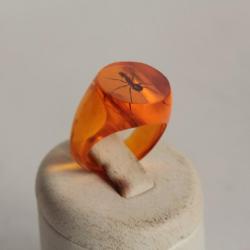 Bague résine ambre inclusion Fourmis vintage T51