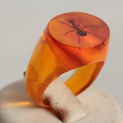 Bague résine ambre inclusion Fourmis vintage T50
