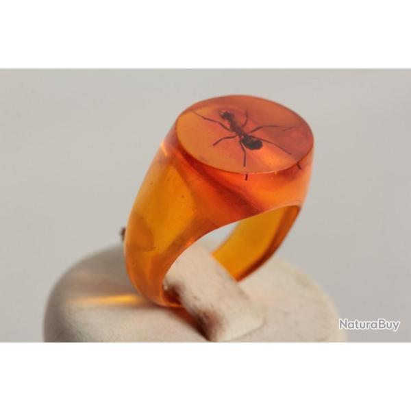 Bague r�sine ambre inclusion Fourmis vintage T50