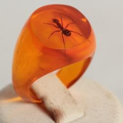 Bague résine ambre inclusion Fourmis vintage T49