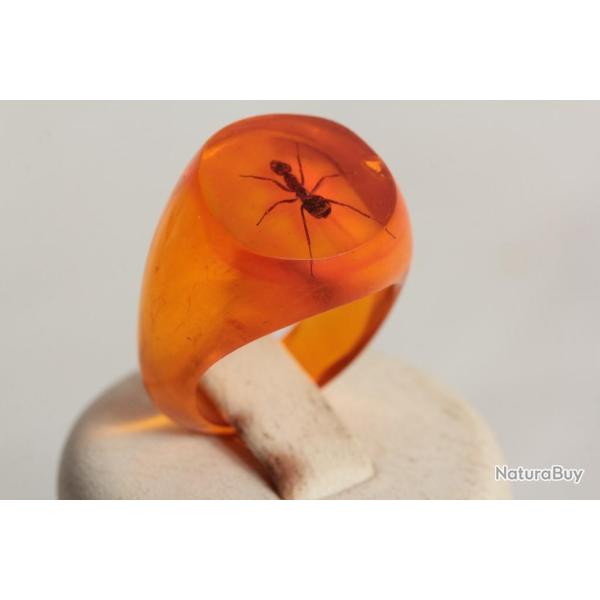 Bague r�sine ambre inclusion Fourmis vintage T49