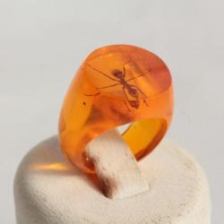 Bague résine ambre inclusion Fourmis vintage T45