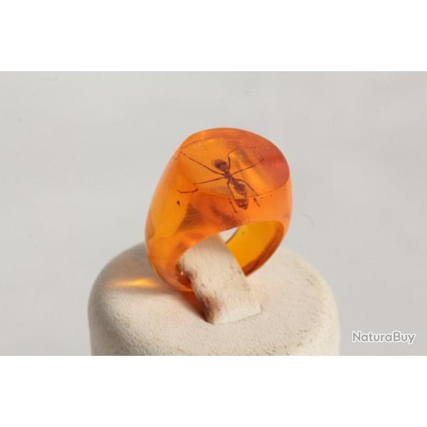 Bague r�sine ambre inclusion Fourmis vintage T45