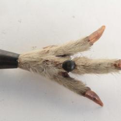 Ancienne Broche Patte d'aigle