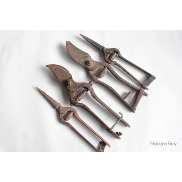 4 Anciens S�cateurs