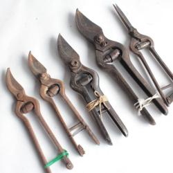5 Anciens Sécateurs