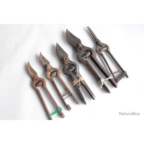 5 Anciens S�cateurs