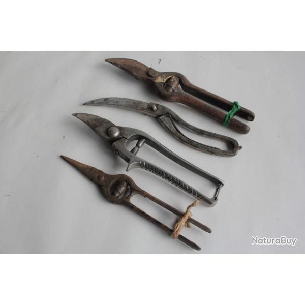 4 Anciens S�cateurs