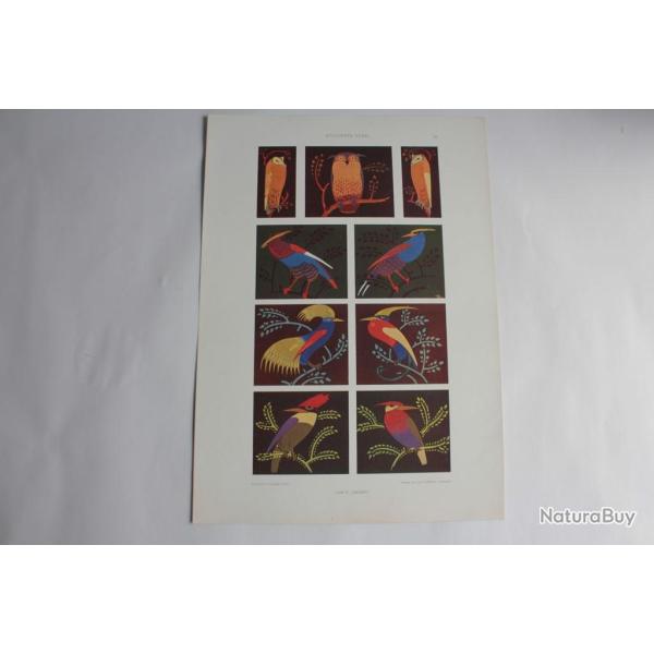 Estampe oiseaux styliss Journal dcoration P. Lindner 1910