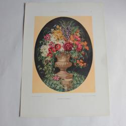 Estampe Vase à fleurs Journal décoration Martin Lehmann 1910