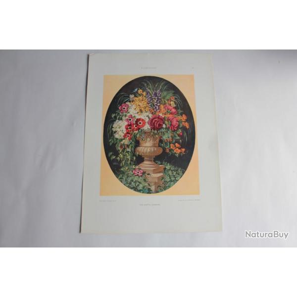 Estampe Vase  fleurs Journal dcoration Martin Lehmann 1910