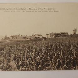CPA Saône et Loire Romanèche-Thorins Moulin à Vent Vin Vignes