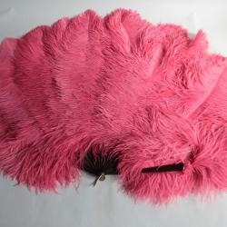 Ancien Grand Éventail Plumes d'autruche Rose