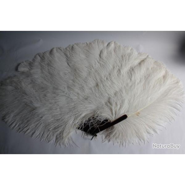 Ancien Grand �ventail Plumes d'autruche Blanche